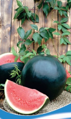 Арбуз ЧЁРНАЯ МАГИЯ