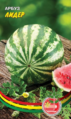 Арбуз ЛИДЕР &mdash; Для употребления в свежем виде, приготовления цукатов, арбузного мёда!