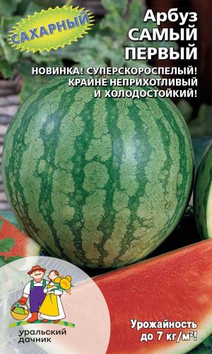 Арбуз САМЫЙ ПЕРВЫЙ