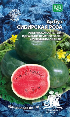 Арбуз СИБИРСКАЯ РОЗА