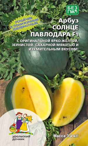 Арбуз СОЛНЦЕ ПАВЛОДАРА F1