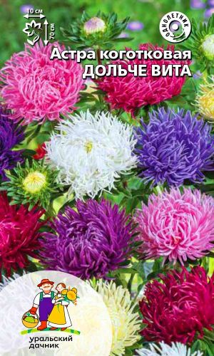 Астра ДОЛЬЧЕ ВИТА