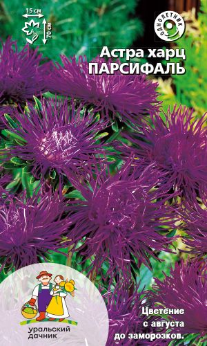 Астра ПАРСИФАЛЬ