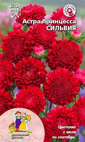 Астра принцесса СИЛЬВИЯ