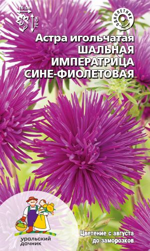 Астра ШАЛЬНАЯ ИМПЕРАТРИЦА СИНЕ-ФИОЛЕТОВАЯ