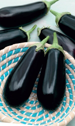 Баклажан БОЯРИН F1