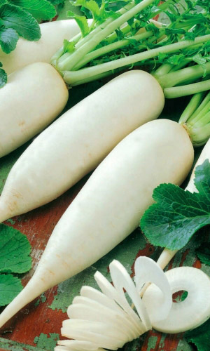 Дайкон МИНОВАСИ