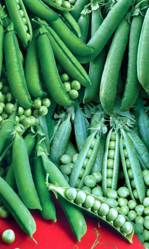 Горох САХАРНЫЙ ДЕЛИКАТЕС 10 г