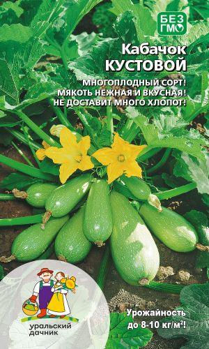Кабачок КУСТОВОЙ
