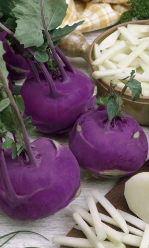 Капуста кольраби СОНАТА F1