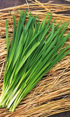 Лук душистый КАПРИЗ