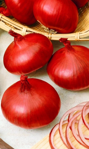 Лук репчатый РЕД БАРОН