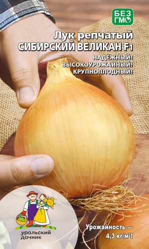 Лук репчатый СИБИРСКИЙ ВЕЛИКАН F1
