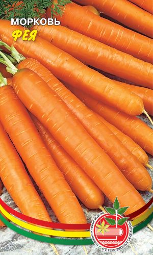 Морковь ФЕЯ &mdash; Волшебные палочки феи на грядке! Нежная! Сладкая! Не повреждается гнилями!