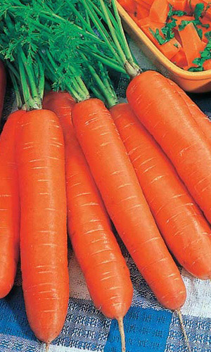 Морковь ХРУСТЯЩЕЕ СЧАСТЬЕ