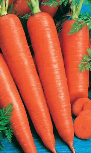 Морковь КАНАДА F1