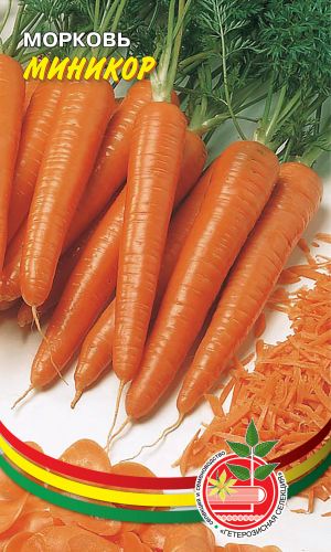 Морковь МИНИКОР &mdash; Выделяется высокой урожайностью, пластичностью к условиям выращивания и великолепными товарными качествами!