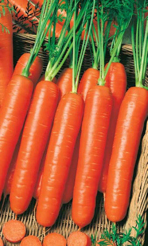 Морковь НАНТСКАЯ 4 ГЕЛЕВОЕ ДРАЖЕ