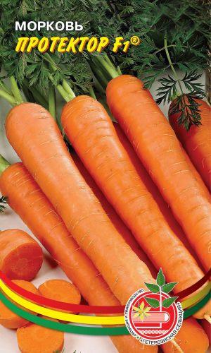 Морковь ПРОТЕКТОР F1 &mdash; Корнеплоды ровные, ярко-оранжевые, с притупленным кончиком! Мякоть сладкая, плотной структуры, оранжевая!