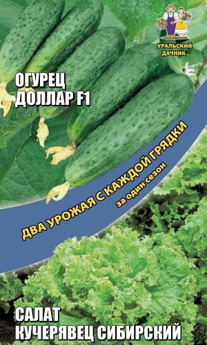 Набор овощей Огурец + Салат