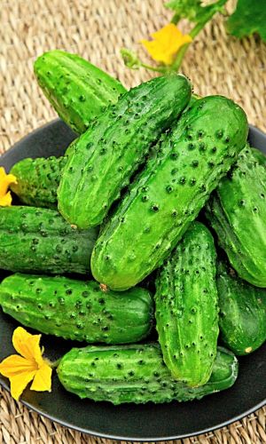 Огурец ЭКСТРИМ F1