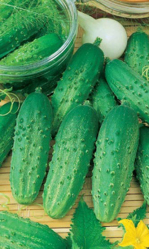 Огурец ЭЛЕКТРОН 2 &mdash; Удивительно вкусные, сладкие!