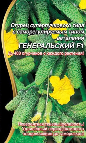 Огурец ГЕНЕРАЛЬСКИЙ® F1