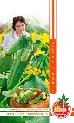 Огурец БАЙКАЛ коллекция Татьяны Штайнерт &mdash; Авторская селекция