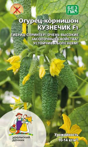 Огурец КУЗНЕЧИК F1 &mdash; Самоопыляемый, тёмно-зелёный!