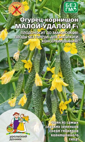 Огурец МАЛОЙ- УДАЛОЙ F1