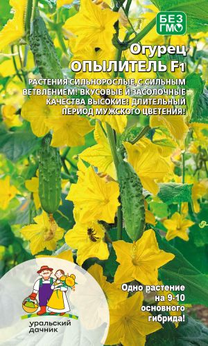 Огурец ОПЫЛИТЕЛЬ F1 &mdash; Растения сильнорослые,с сильным ветвлением! Вкусовые и засолочные качества высокие! Длительный период мужского цветения!
