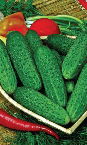 Огурец СИЛА ЗЕМЛИ F1