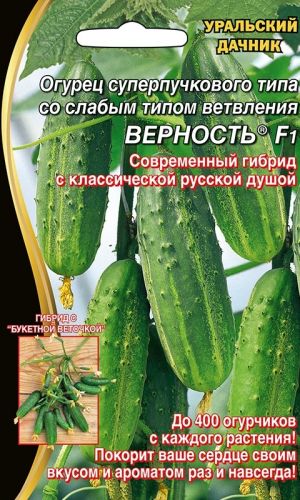 Огурец ВЕРНОСТЬ F1