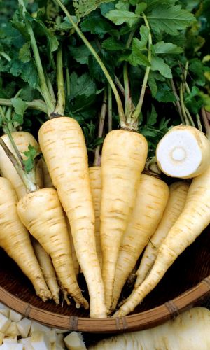 Пастернак КУЛИНАР