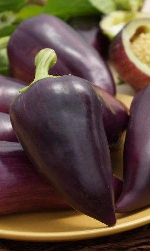 Перец ЦЫГАНСКИЙ БАРОН &mdash; Сенсационная урожайность! Неповторимый вкус и аромат! Не требует формирования!