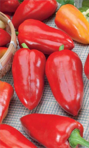 Перец ЭЛЬФ &mdash; Большой урожай без проблем!