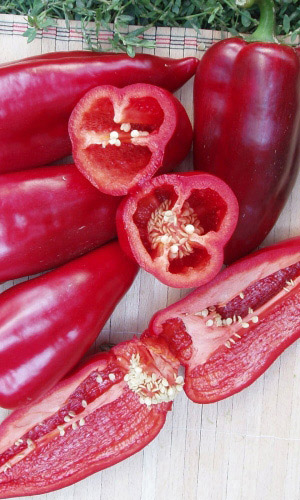 Перец ФАКИР &mdash; Плодоносит до заморозков! Сочный!