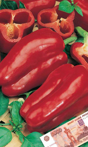 Перец ГИГАНТО РОССА F1