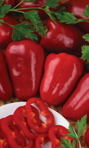 Перец МАТЕРИНСКАЯ ЛЮБОВЬ