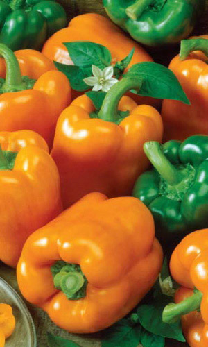 Перец ОРАНЖЕВОЕ ЧУДО