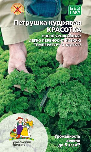 Петрушка кудрявая КРАСОТКА