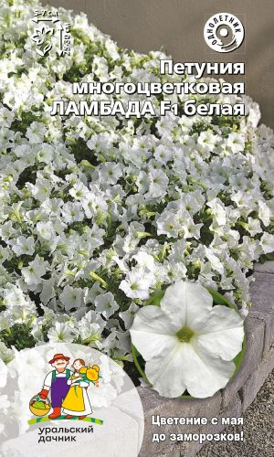 Петуния ЛАМБАДА F1 БЕЛАЯ