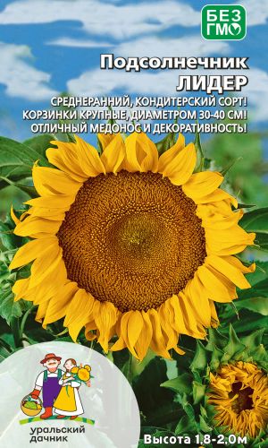 Подсолнечник ЛИДЕР