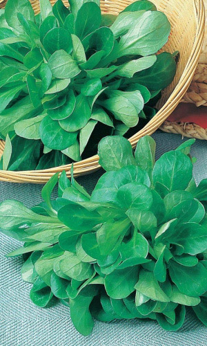 Салат БУКЕТ