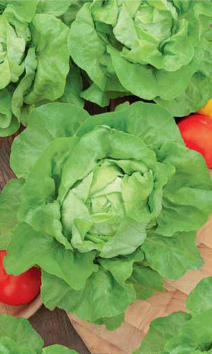 Салат ЛАРАНД