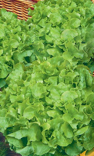 Салат НОВОГОДНИЙ