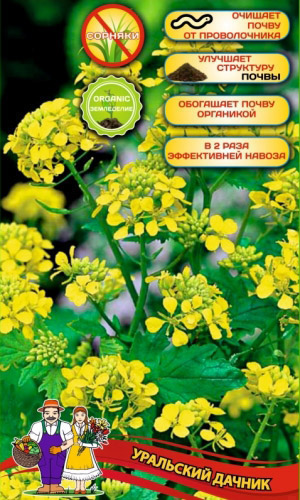 Сидерат ГОРЧИЦА 250 г