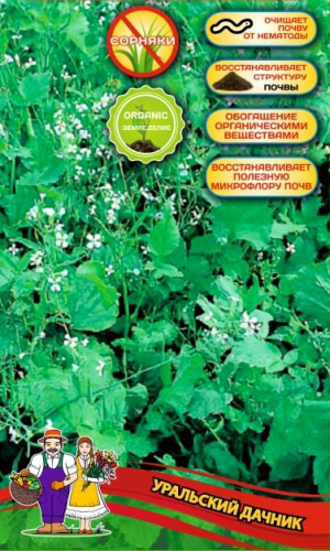 Сидерат РЕДЬКА МАСЛЕНИЧНАЯ 100 г