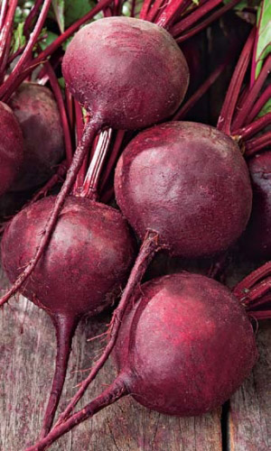 Свёкла ЧЁРНАЯ МАГИЯ F1