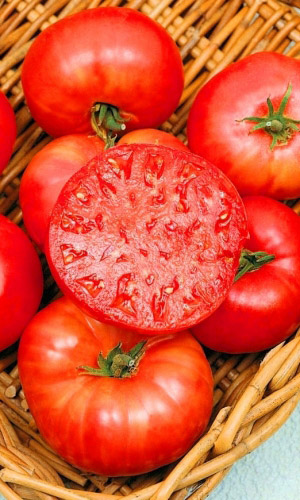 Томат БИФШТЕКС